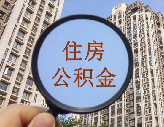 昌邑退休后查不到公积金明细了吗（退休后公积金查询不到原因）